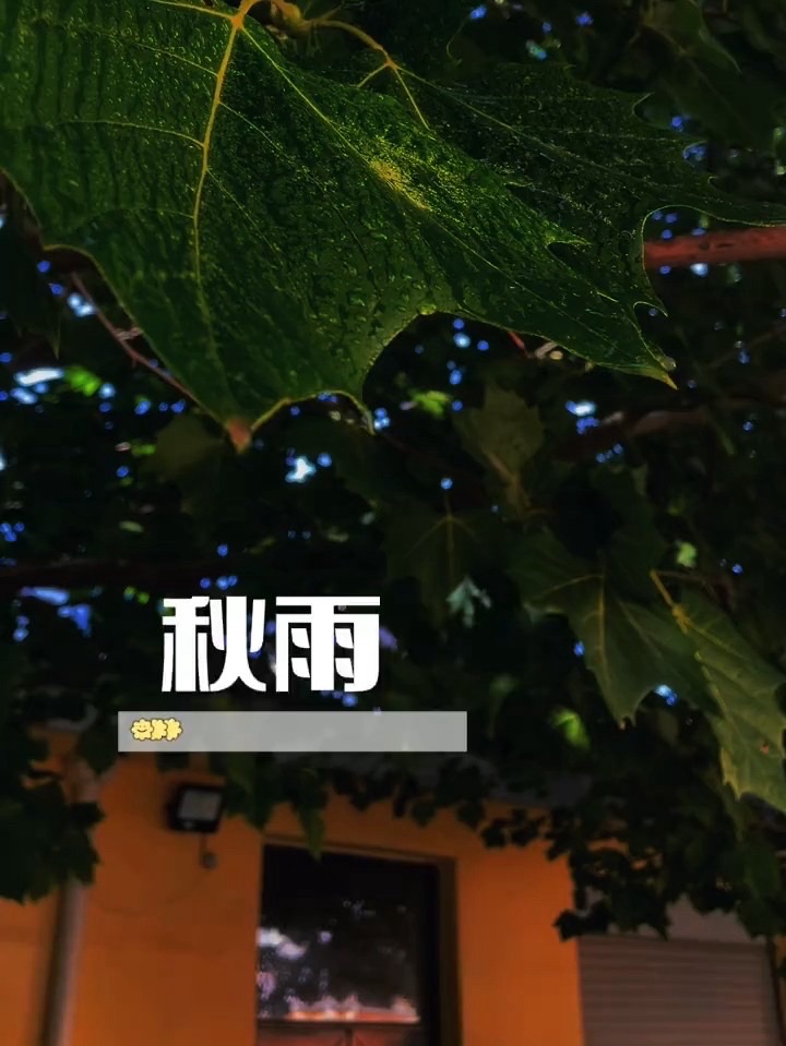 【诗词卌九首】: 作者||曾振华|海外头条(图6)