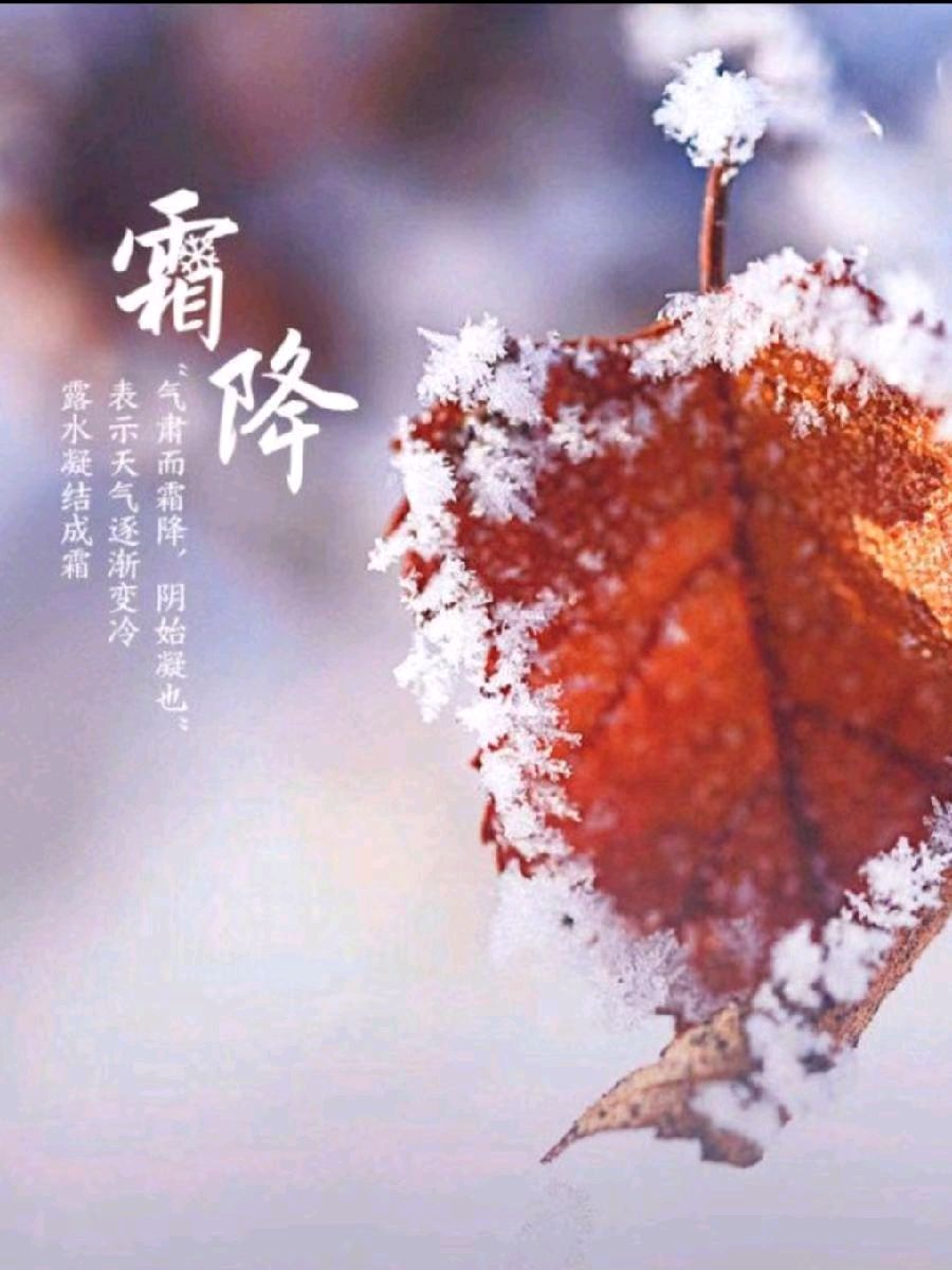 【荣耀中国】霜降专刊隆重推荐（图5）