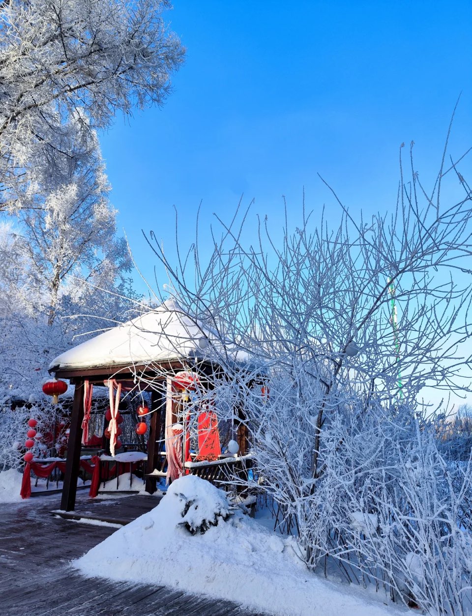［美文鉴赏］伊春第一场雪//文/张玉梅