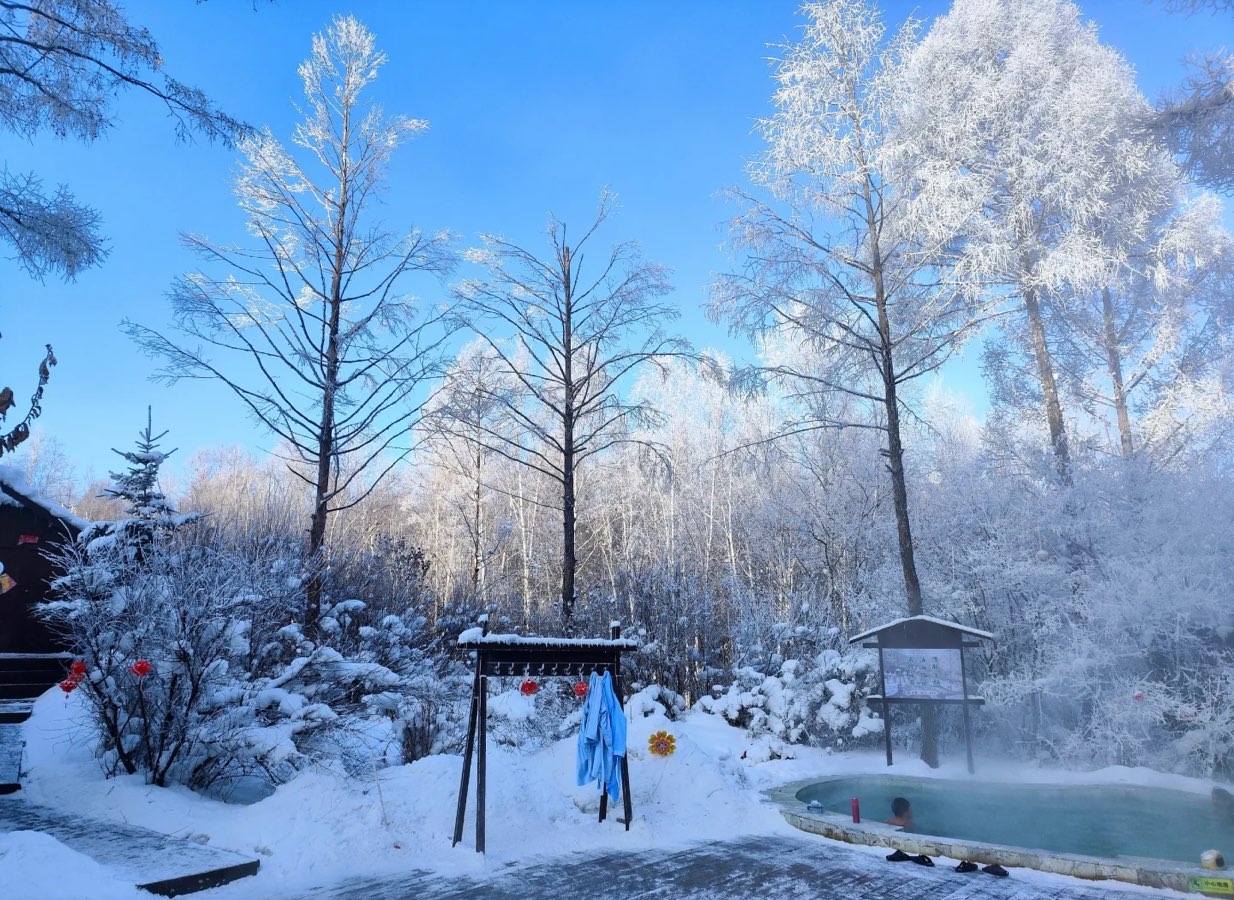 ［美文鉴赏］伊春第一场雪//文/张玉梅（图2）