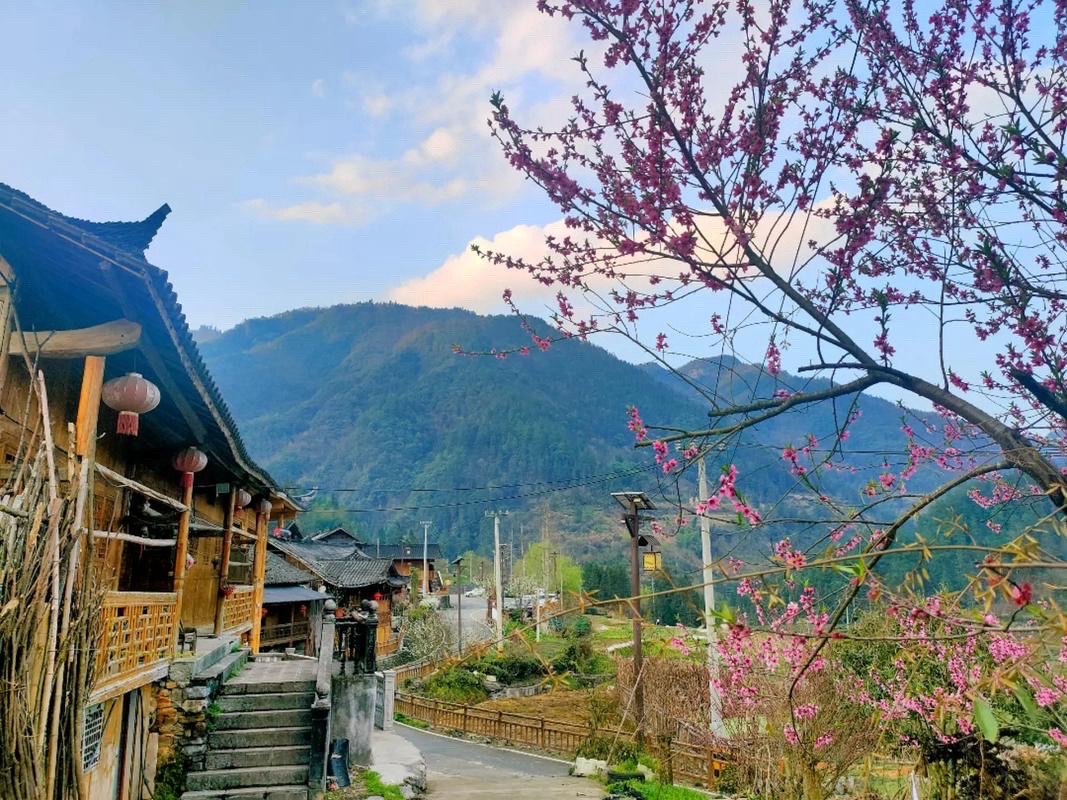 绿岛:太阳落山(20首)海外头条(图8)