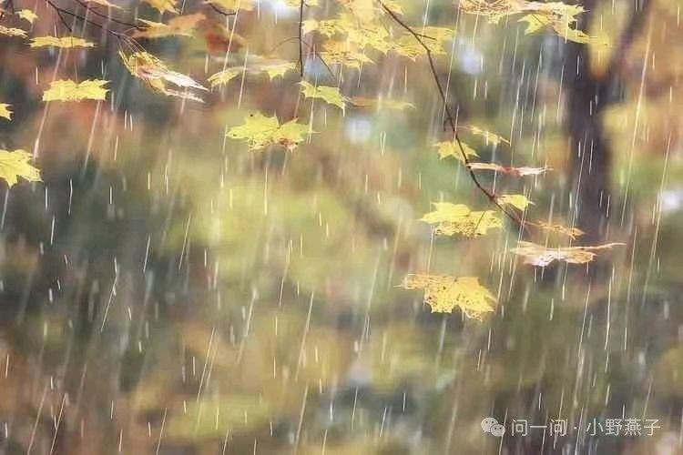 【荣耀中国】辘轳体•暮秋阴雨降连天（新韵）文/郑占荣（河北）（图5）
