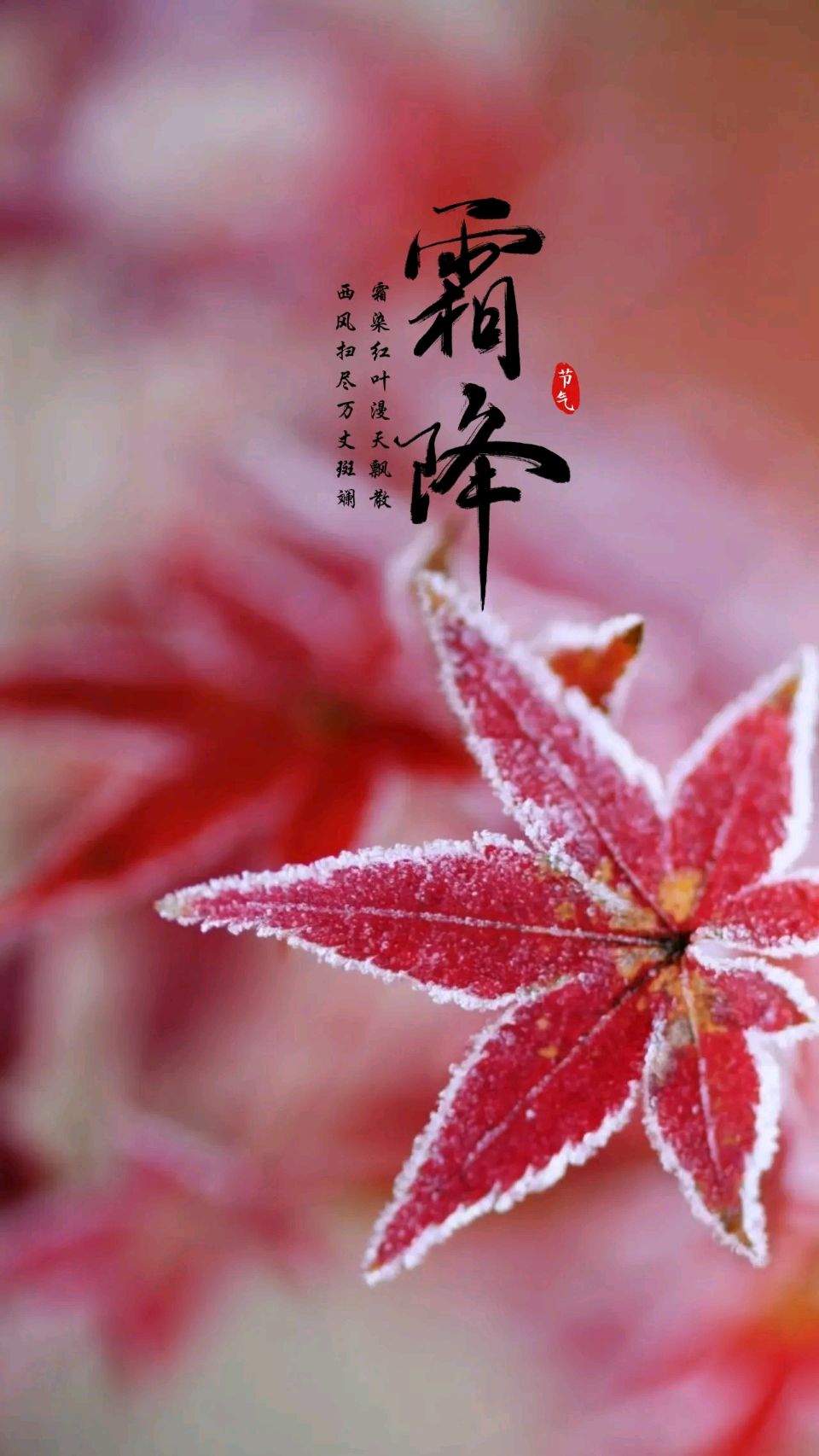 石景章老师精彩诗词联与君共赏