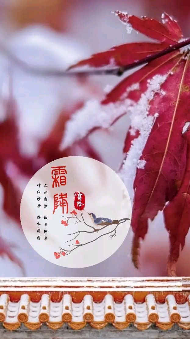 石景章老师精彩诗词联与君共赏（图4）