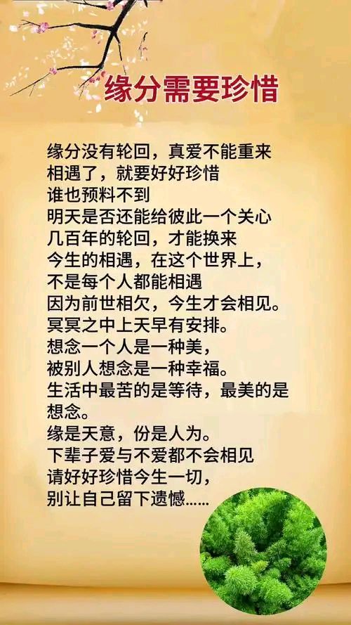 洞庭激情（唐子岳）老师精彩诗词与君共赏（图3）
