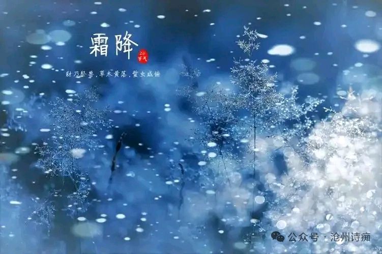 【都市头条向幸福出发编辑部】第14297期 秋天的故事 文 如月（图3）