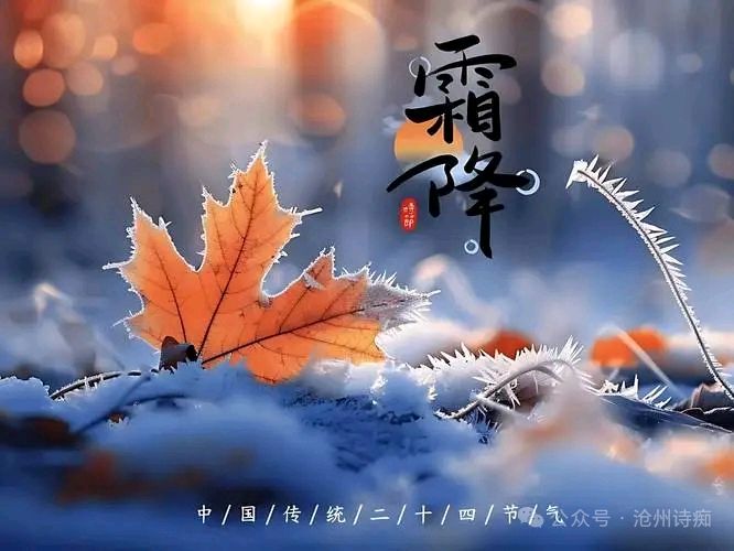 【都市头条向幸福出发编辑部】第14298期 赠兰指百奇诗友文 如月（图2）