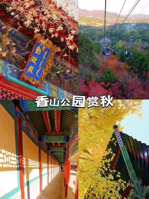 【荣耀中国】中国四大赏枫胜地戴建中（江苏）（图4）