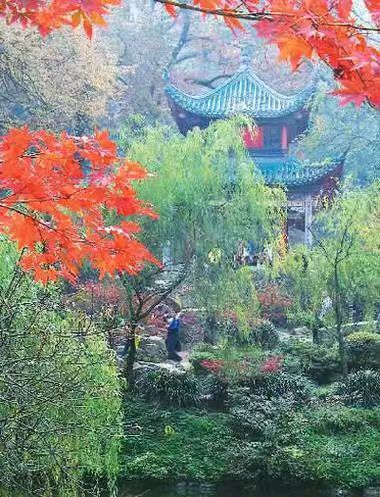 【荣耀中国】中国四大赏枫胜地戴建中（江苏）（图5）