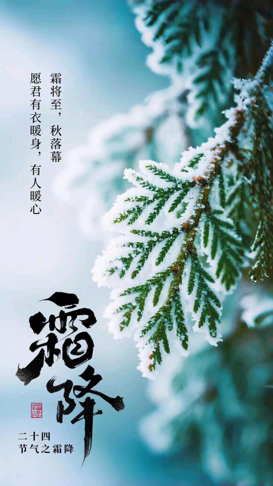 严宗碧老师精彩诗词与君共赏