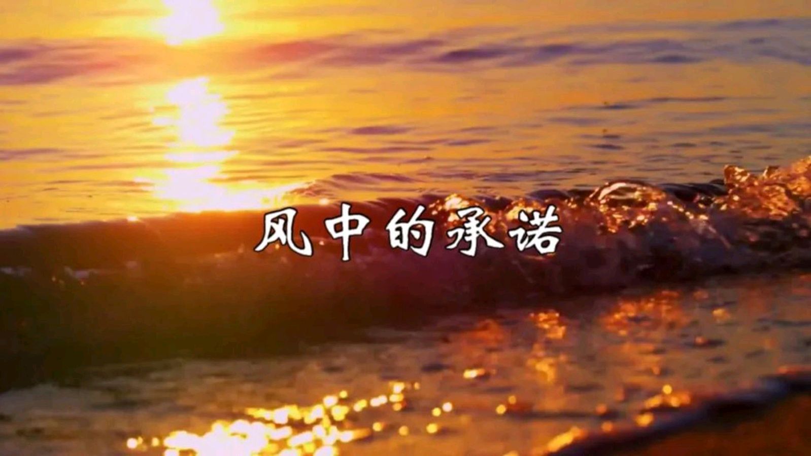 云鹤诗歌《承诺》主播：箫笳；编辑：小鱼儿 【秦岛韵声】（第1398期）（图2）