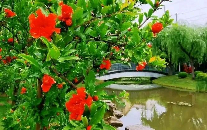 青河十二月-联珠环复回文诗十二首～诗◑浴乎沂（图18）