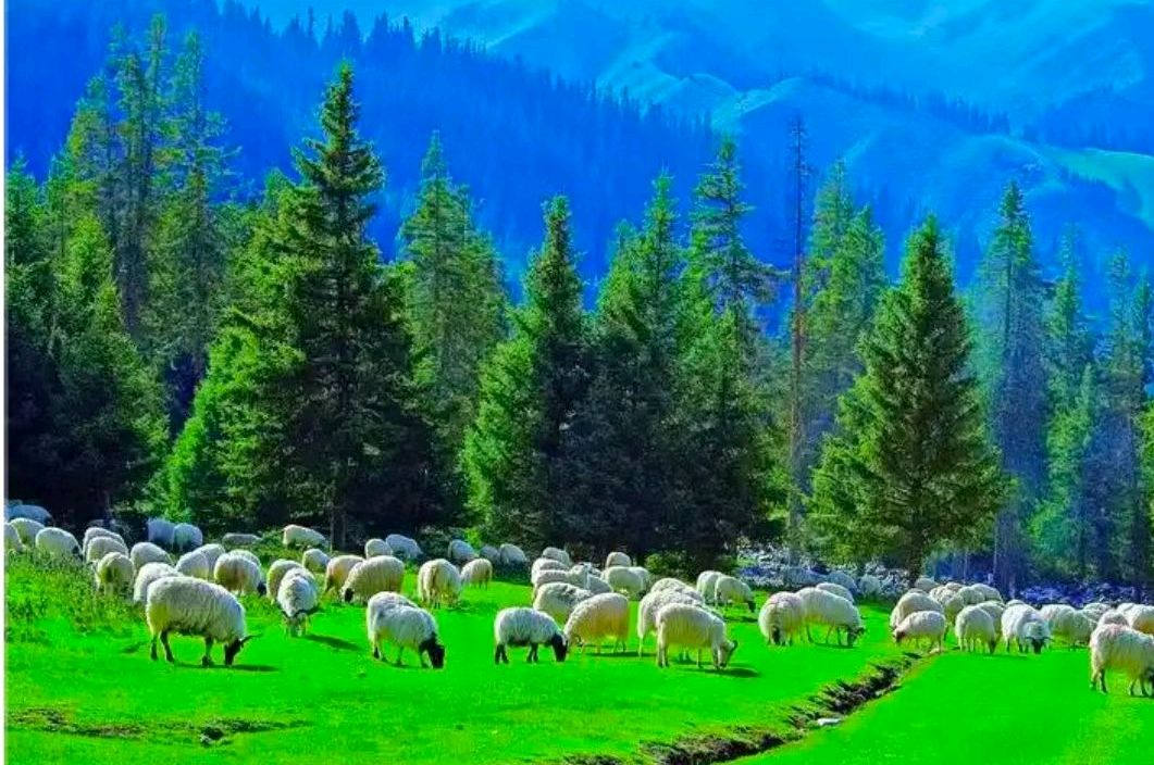 【荣耀中国】七律•金秋 诗/詹家洪（北京）（图4）