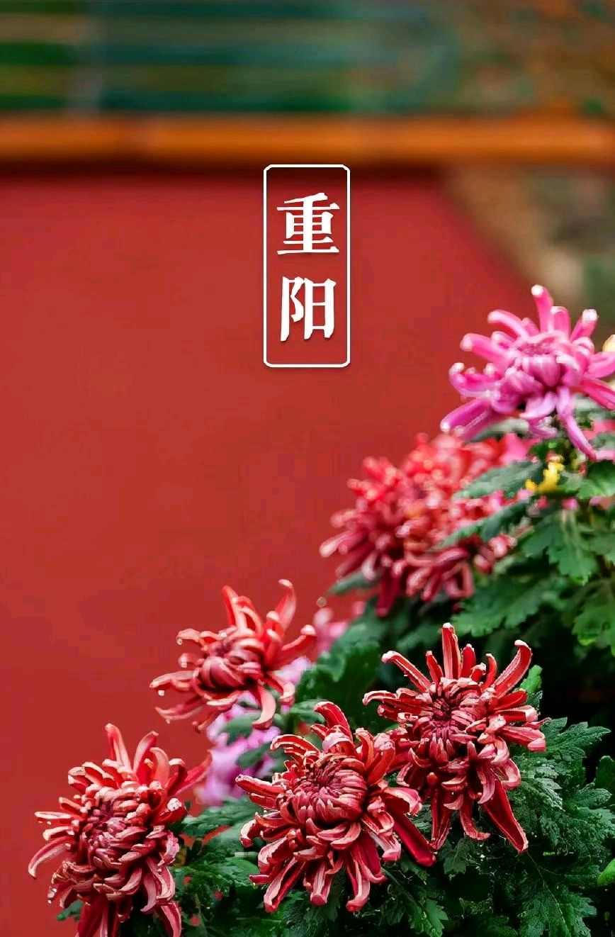 【荣耀中国】七律•岁岁重阳文/赵福礼（图3）