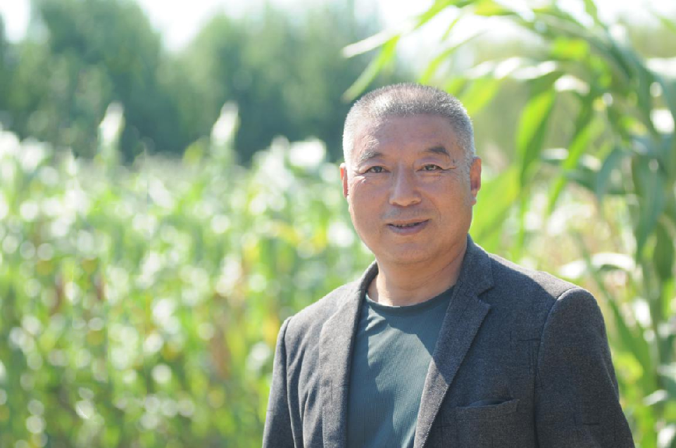 16.张田勤 16.张田勤
