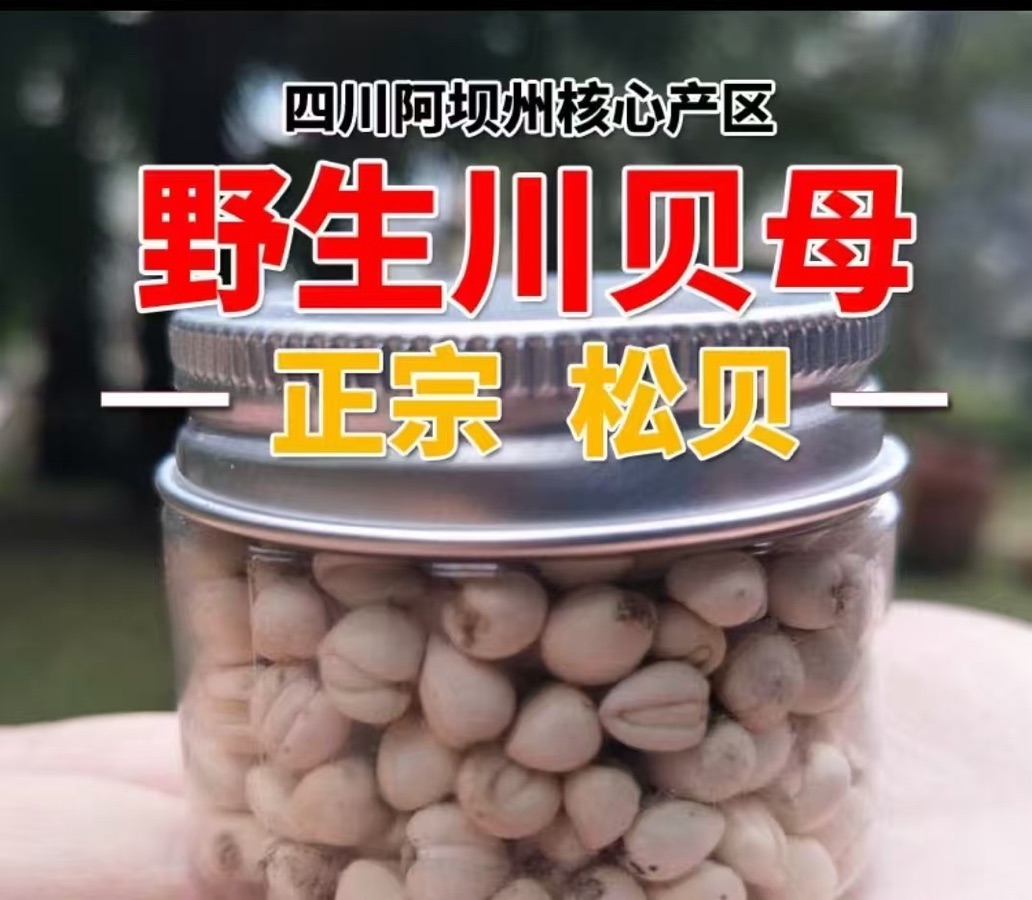 （叙事散文诗）再赞古城松潘：作者||丁培恭｜海外头条（图9）