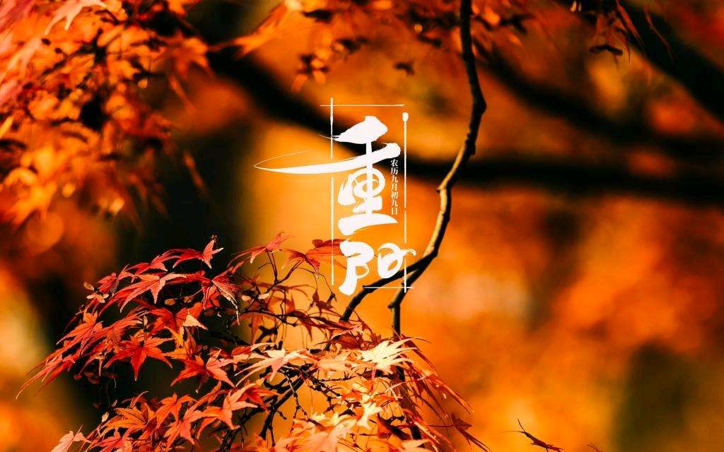 重阳节赋Ⅱ文/康宗生（明月吟秋）（图3）