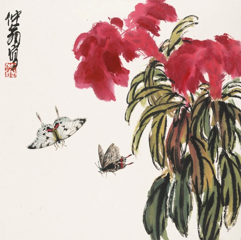 图片
