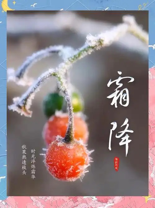［河北女诗人］霜降时光（小辑）//文/冬雪