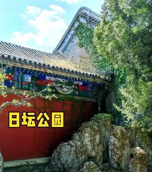 ［河北女诗人］霜降时光（小辑）//文/冬雪（图2）