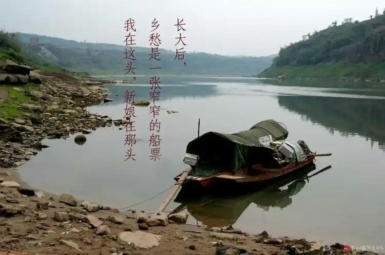 ［巾帼诗人］雨佳诗歌小辑（十首）（图4）