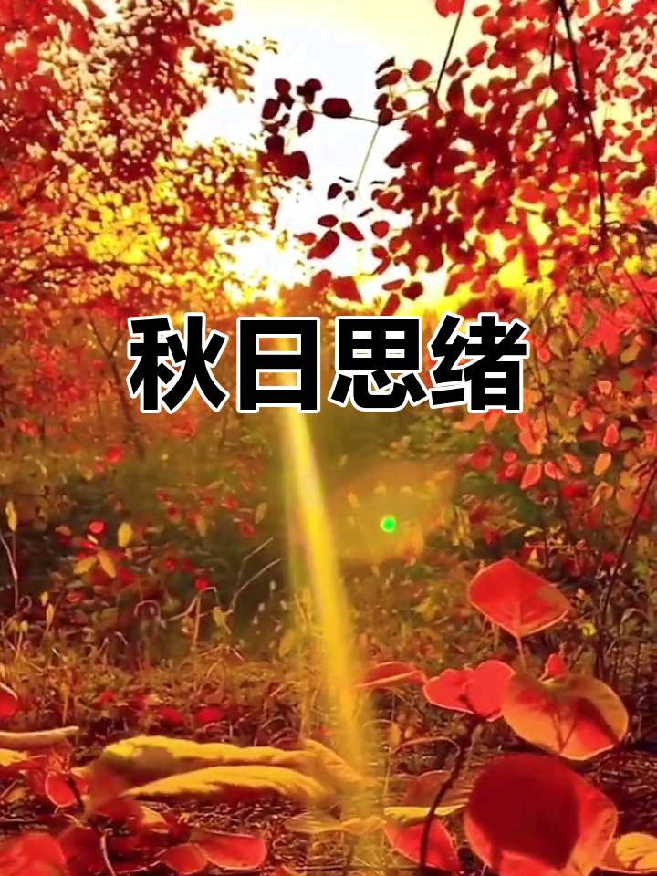 落叶，一枚秋的邮票～诗◑马文同（图13）