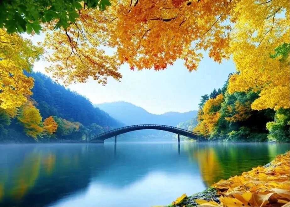 【新诗大观】季节规律之导||文/小节（图3）