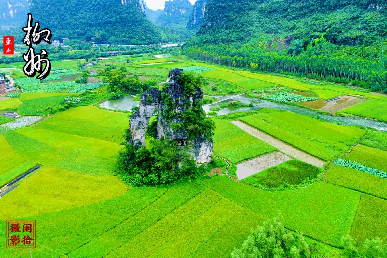 南天猛士(隆光诚)老师精彩律诗与君共赏(图5)