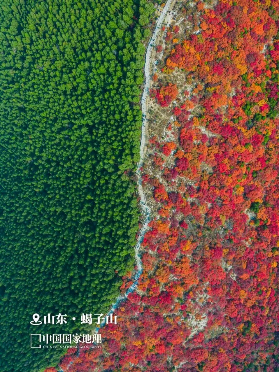 济南的红叶 /李咸化(山东济南 )(图3)