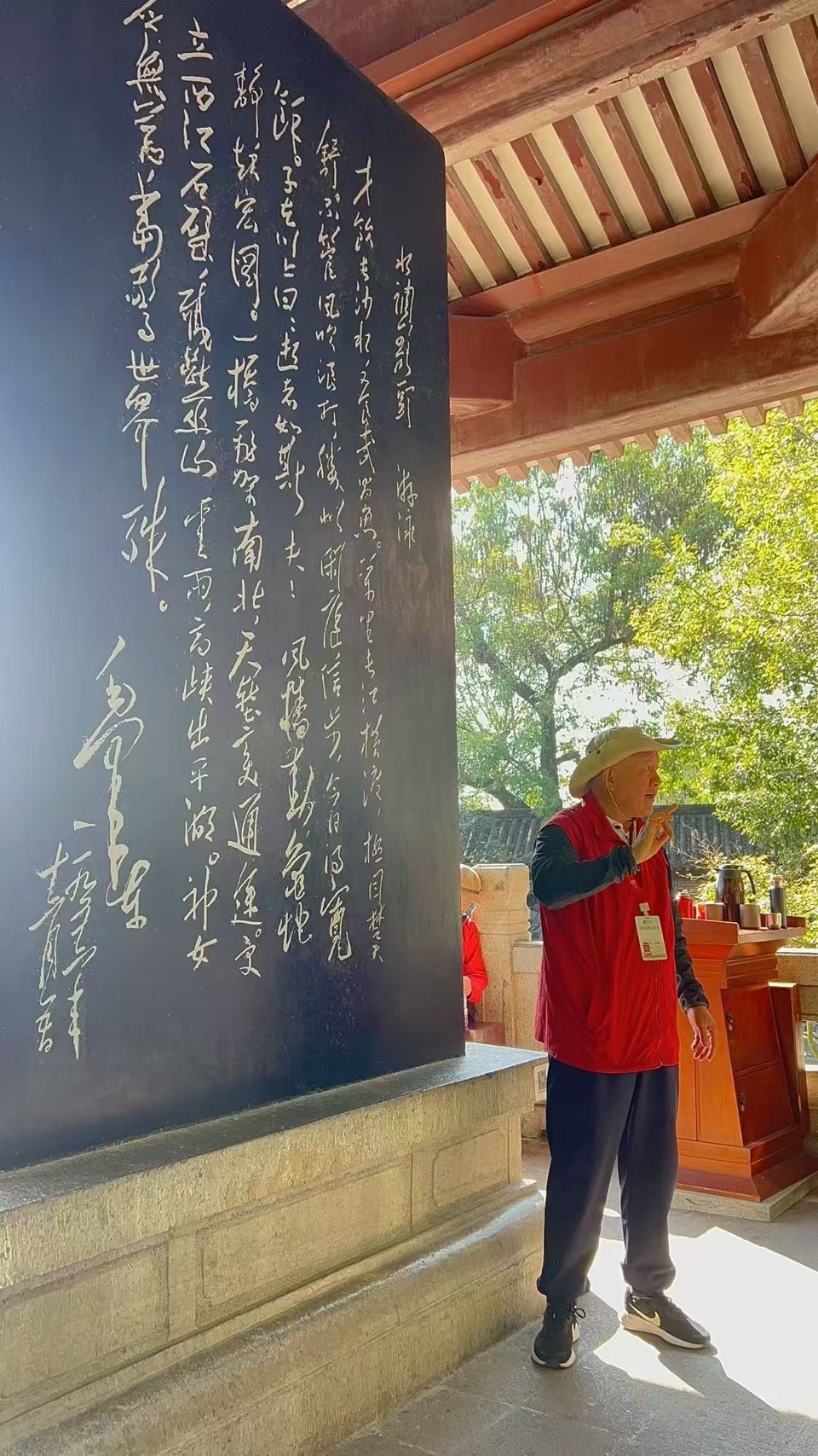 美诗美诵：当你老了｜周智敏（黄鹤楼诗词讲解志愿者）诵读：小小（图4）