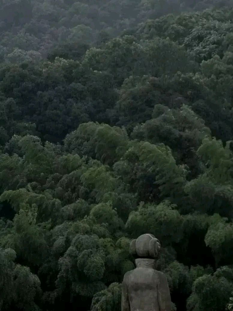 《水调歌头·漫说须弥芥子南山梦》作者：喻忠国 [中国现代诗歌文化传媒推荐]（图5）