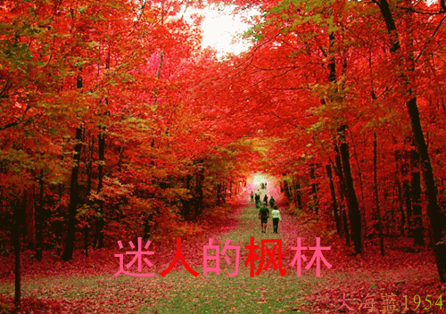 【紫罗兰文学社—朱余全老师专辑】总社推荐 || 2025都刊第143期（总第311期）（图15）