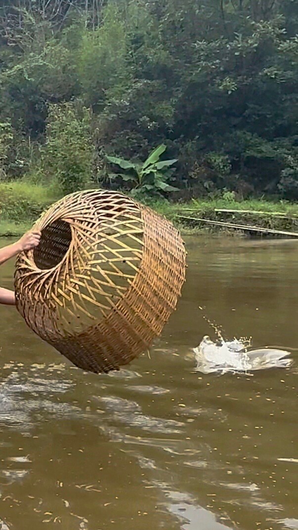 【诗词中国】精品佳作《奶奶的智慧之一：罩鱼》作者：张庆松（图5）