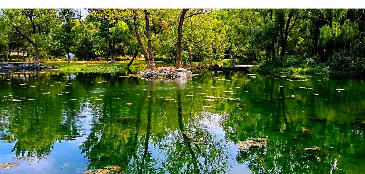 泉魂铸泉城——读《济南泉水赋》 // 付朝兰(图2)
