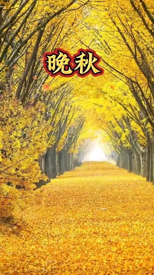 七律-晚秋～诗◑雅轩琴韵（图11）