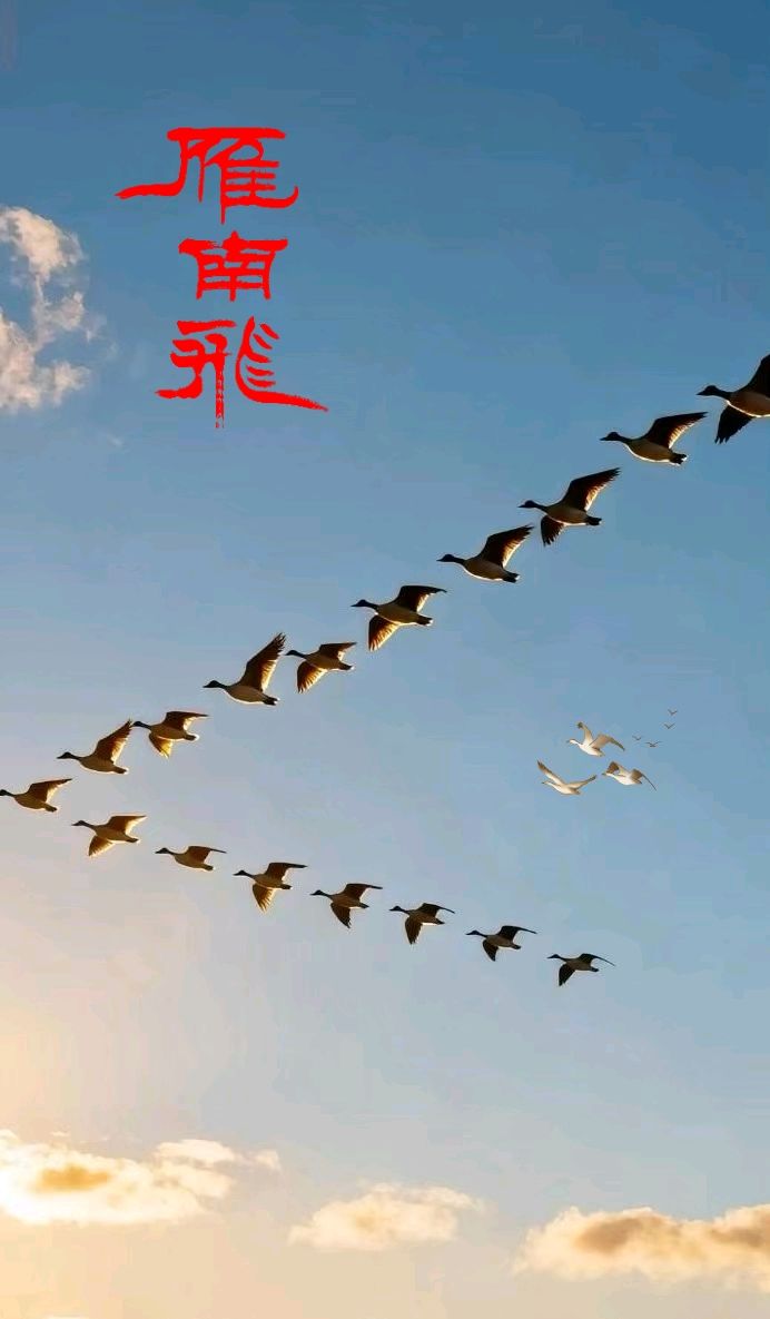 七律-晚秋～诗◑雅轩琴韵（图16）