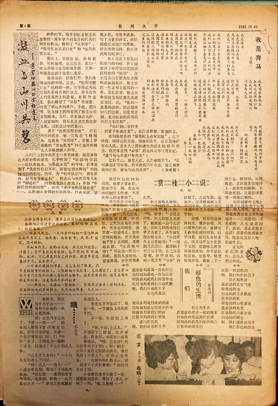 微信图片_20251031204624_96_95