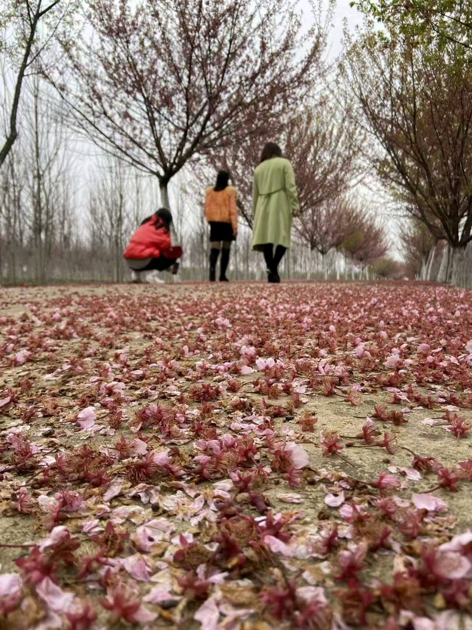 苏庄,一个辅子上升起的月亮 诗歌 李勋 摄影 闵敏(图2)