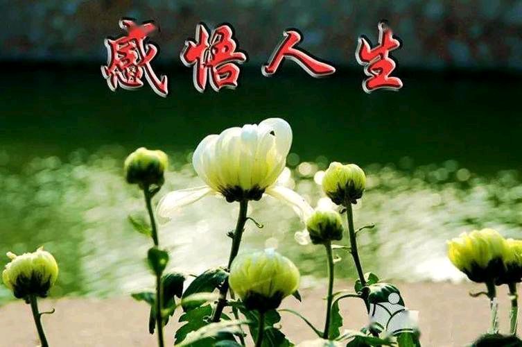 人生最值得炫耀的是什么/吳華龍(广东茂名)（图2）