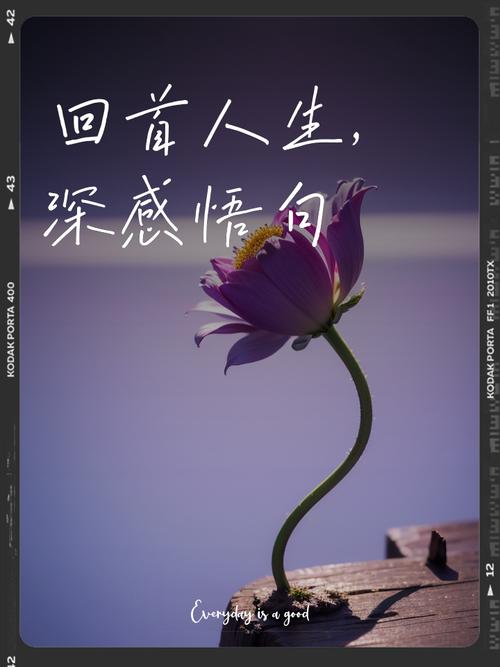 人生最值得炫耀的是什么/吳華龍(广东茂名)（图3）
