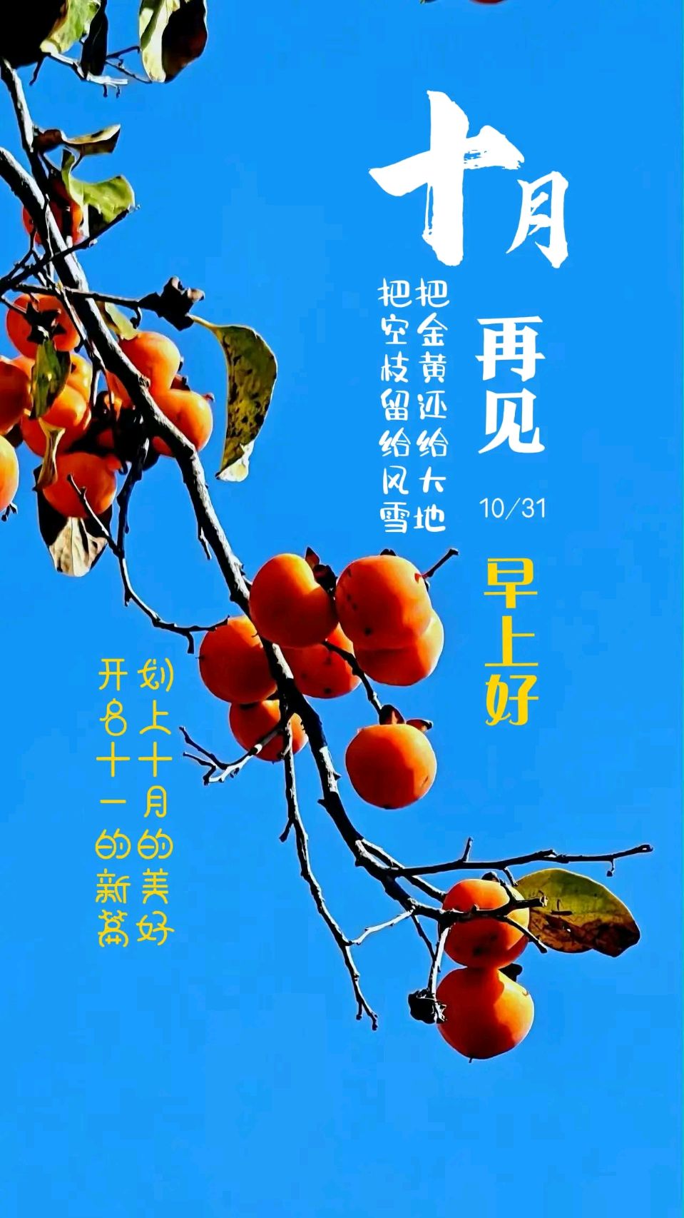 【散文】赵春和:郊游/中华诗艺社黑龙江分社【2025第259期】（图5）