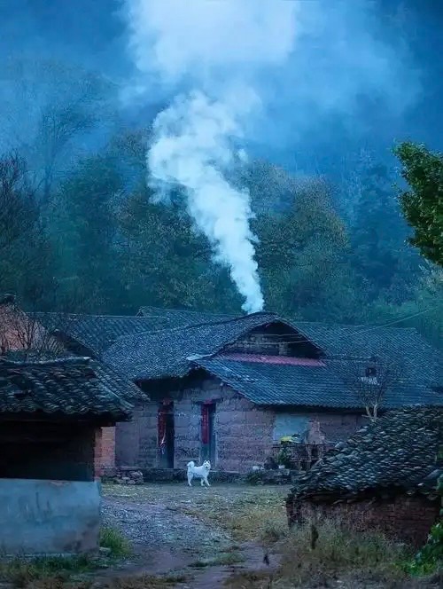 ［佳作欣赏］乡愁：被炊烟系住的远方//文/袁维平
