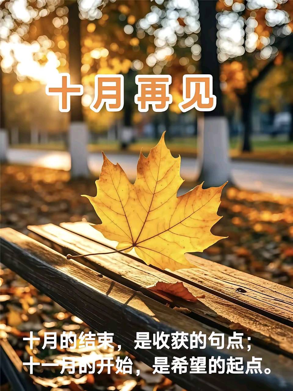 《十月的尾音》作者：回泉山人 诵读：兴安杜鹃 [中国现代诗歌文化传媒推荐]（图5）