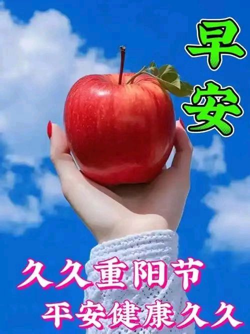 乙巳重阳节优选作品合集/中华诗艺社黑龙江分社【2025第250期】（图8）