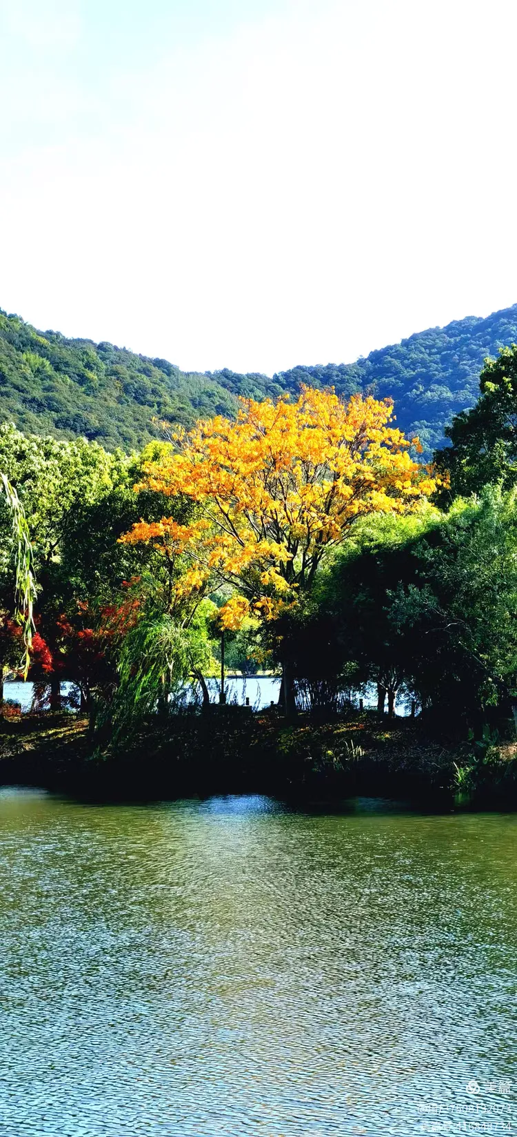 【中国雨巷文学社】北京头条 第2558期 散文《湘湖秋韵》作者:萧祖能 - 杭州(图2)