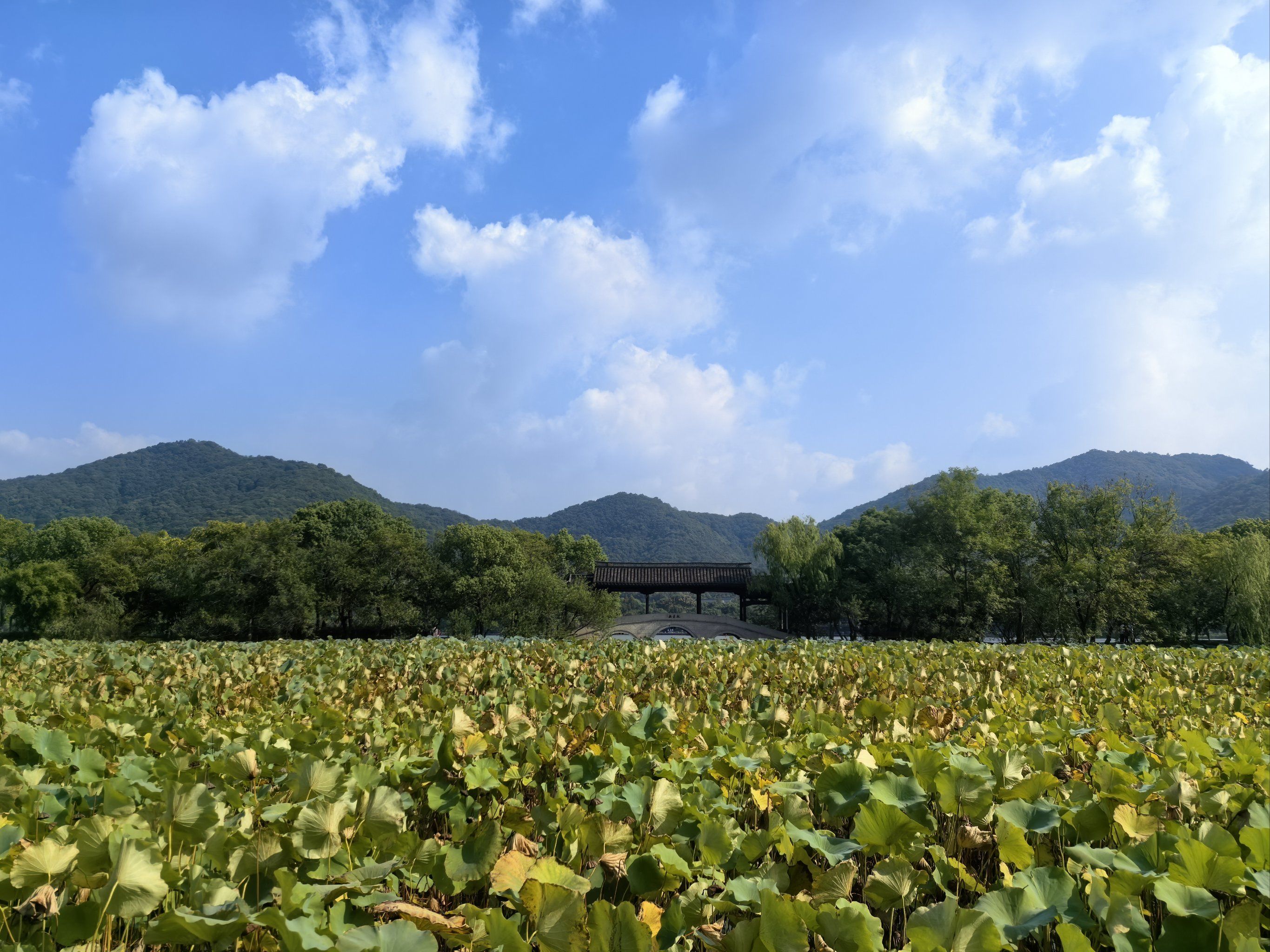 【中国雨巷文学社】北京头条 第2558期 散文《湘湖秋韵》作者:萧祖能 - 杭州(图4)