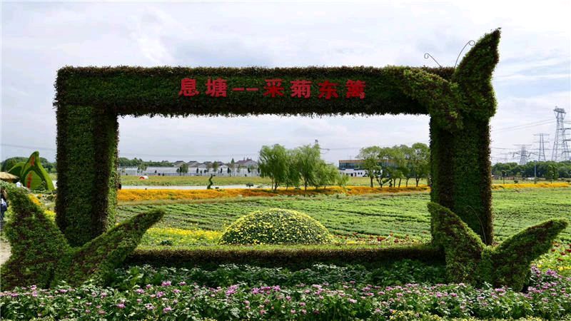 量子诗歌'七嘴八舌'说诗评诗系列之文雅秘书长的古韵《手机》、现代诗《东篱菊影》——文化强国量子诗歌实验室（筹）（图36）