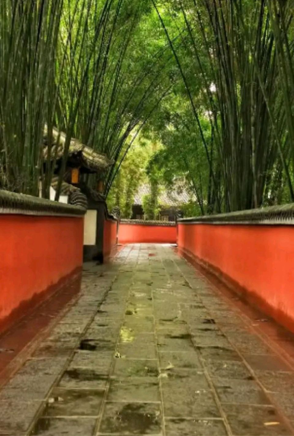 【荣耀中国】532烟柳寺作者:陈光民(图6)