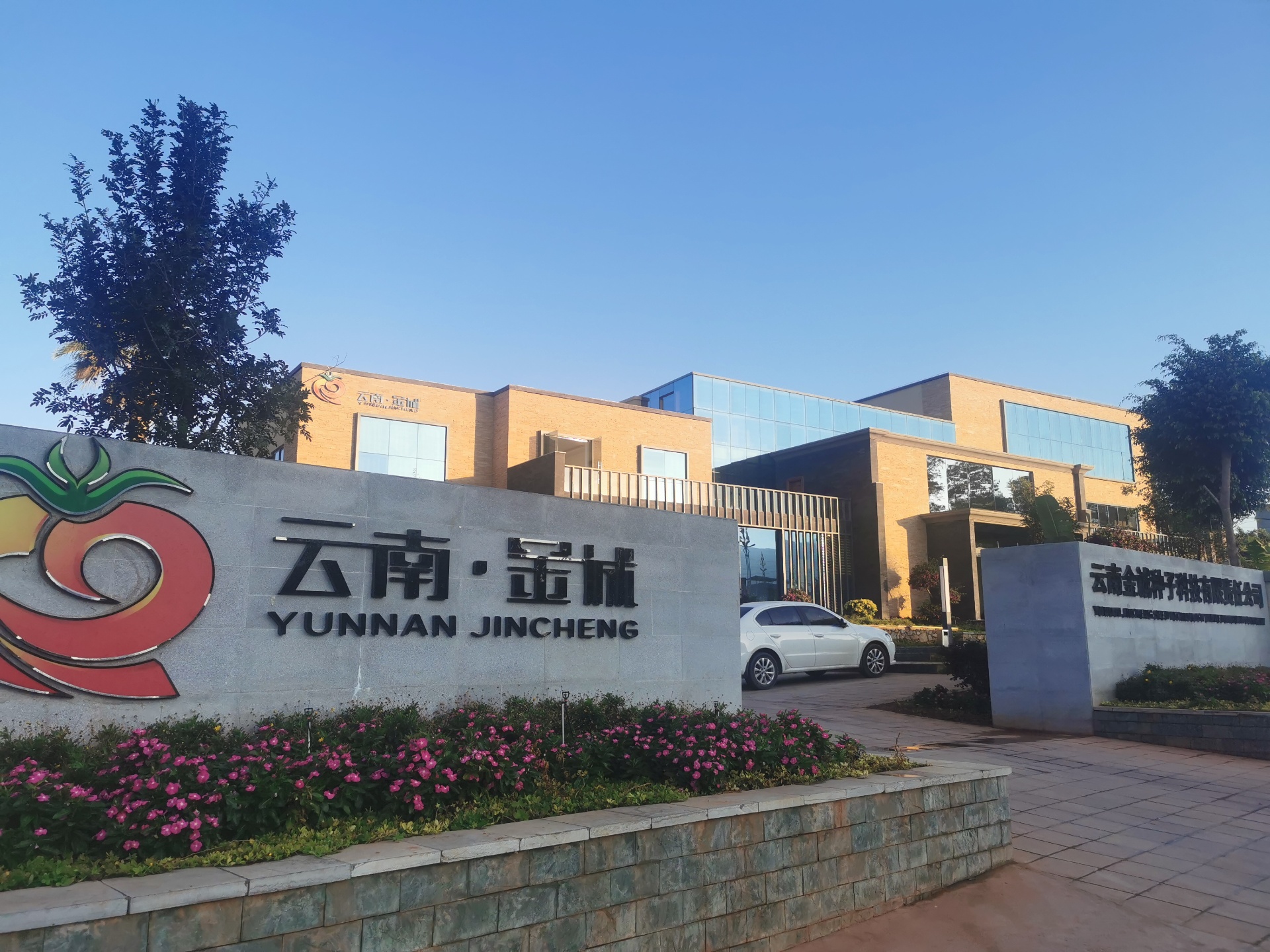 中国“新农民”系列之‖武成勇:一粒番茄种子的振兴之路(图8)