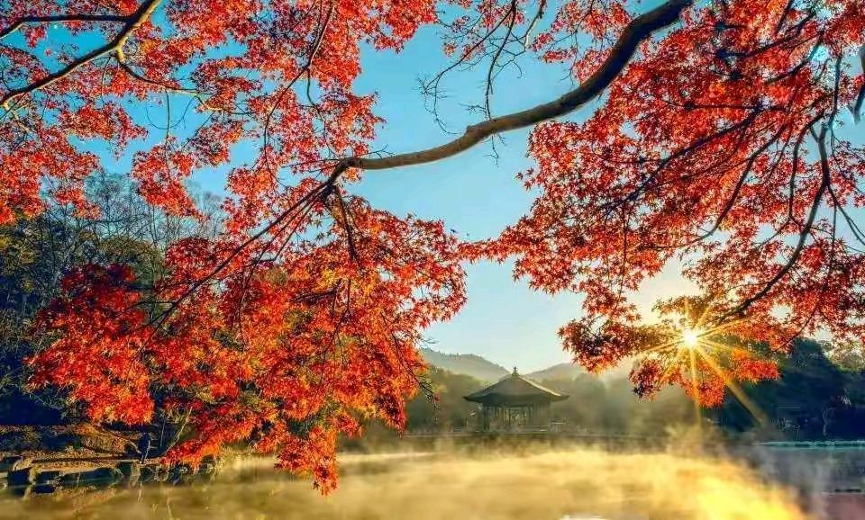 聆听 ‖ 百合朗诵《秋天里的中国》作者/欧震（图7）
